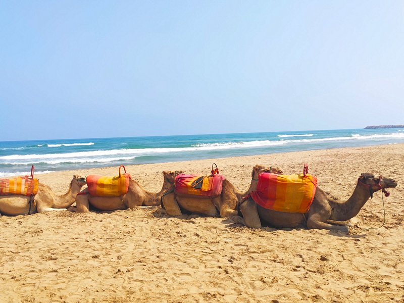 plage Plage de Saidia