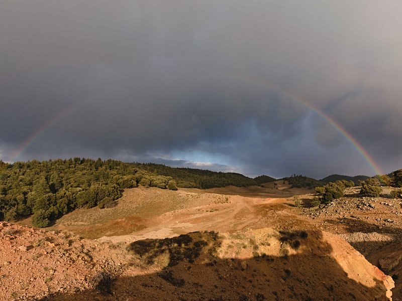 Parc national d'Ifrane