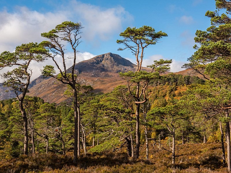 Glen Affric, Highlands