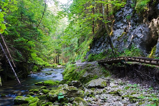 Parc national du Paradis slovaque
