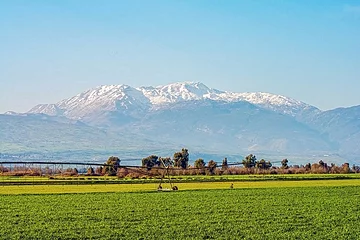 Le plateau du Golan