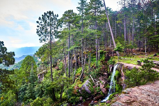 Cascade de Mexiquillo
