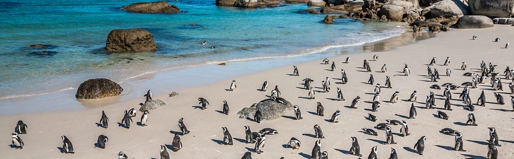Boulders Beach