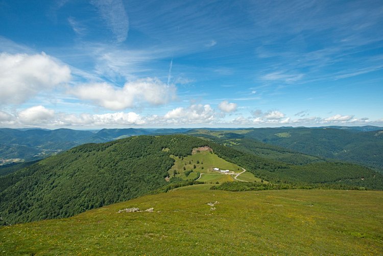 Le parc naturel régional du Ballon des Vosges