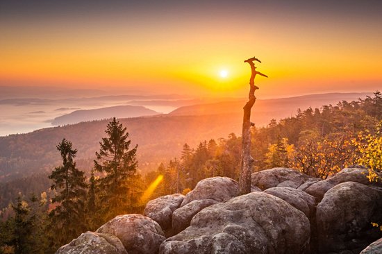 Parc national des Monts tabulaires
