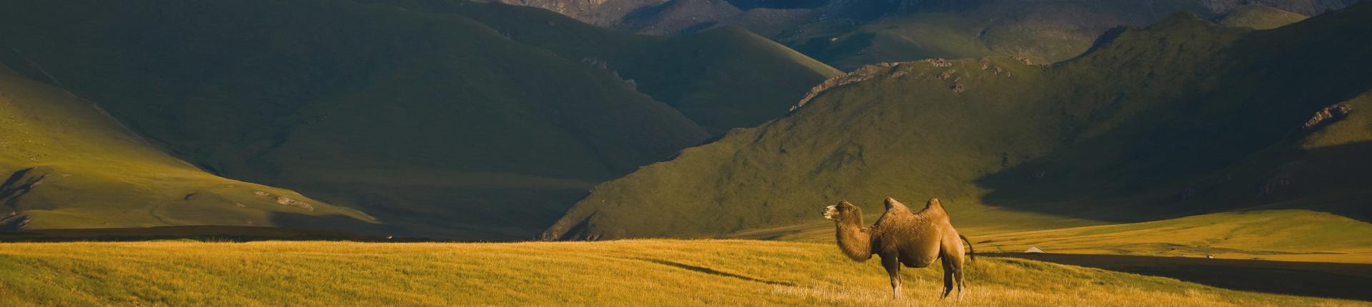 Kirghizistan