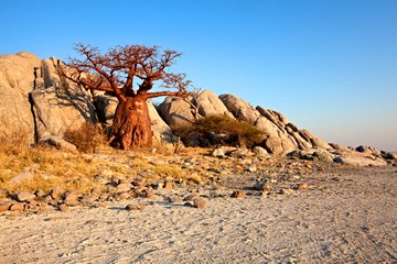 Parc national de Makgadikgadi Pans