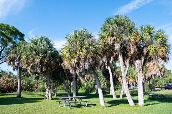 Parc d'État de Honeymoon Island