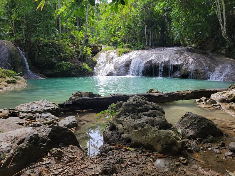 Kawasan Falls