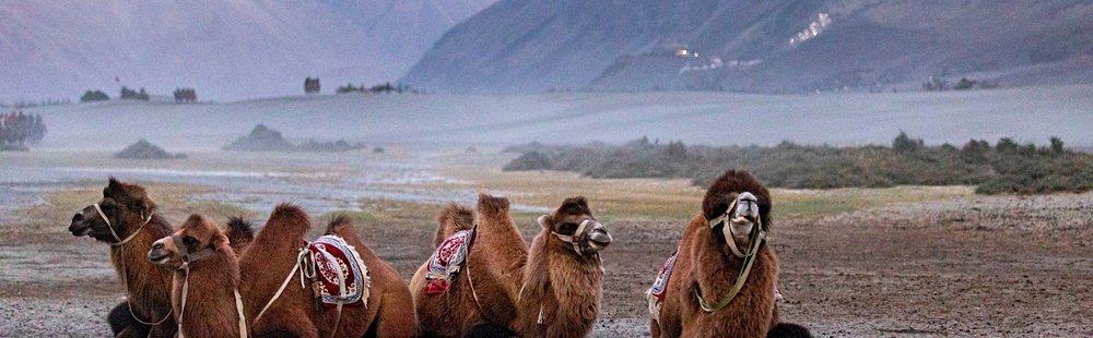 Nubra