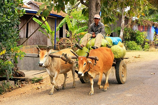 Découverte des traditions de la région du Kulen