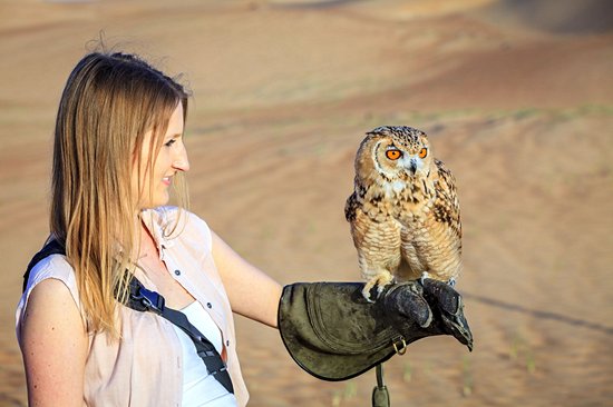 Dubai Desert Conservation Reserve