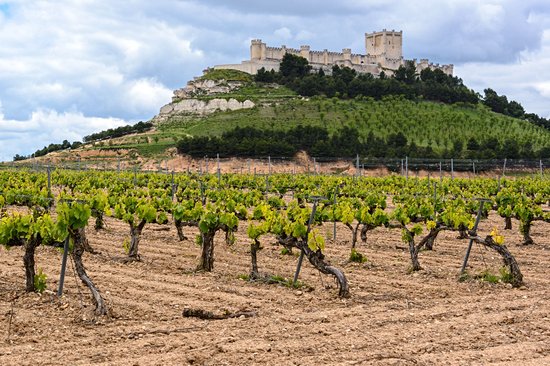 Château de Peñafiel