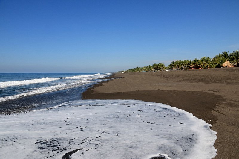 plage La plage de Monterrico