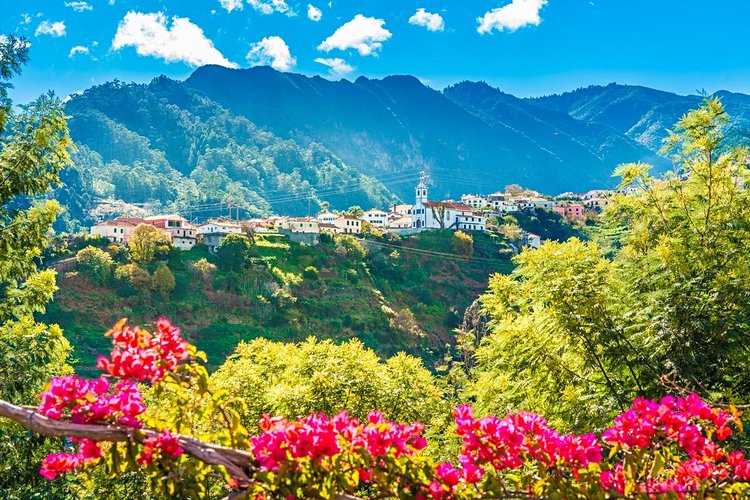 Quelle est la meilleure période pour visiter Madère et ses fleurs ? 3