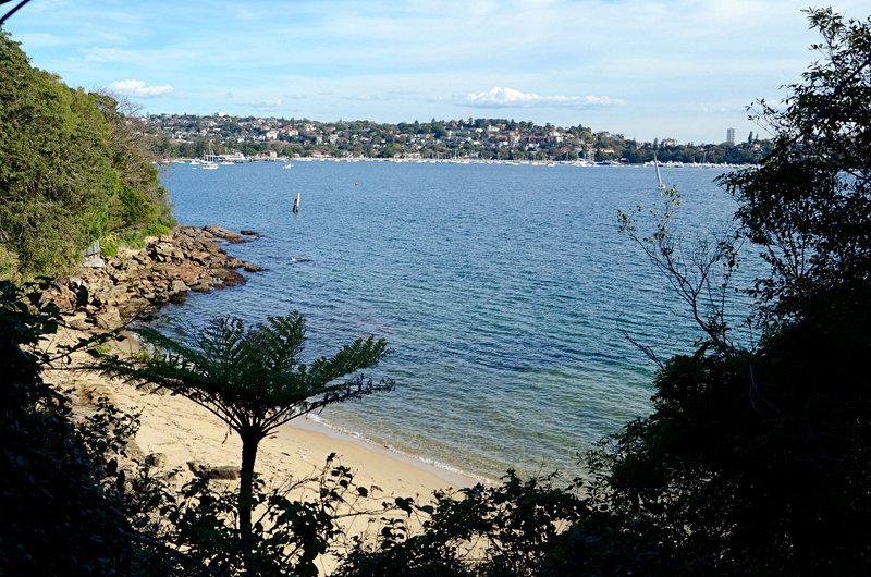 plage Queens Beach (Sydney)