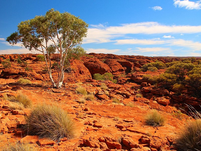 Kings Canyon et le Parc national de Watarrka