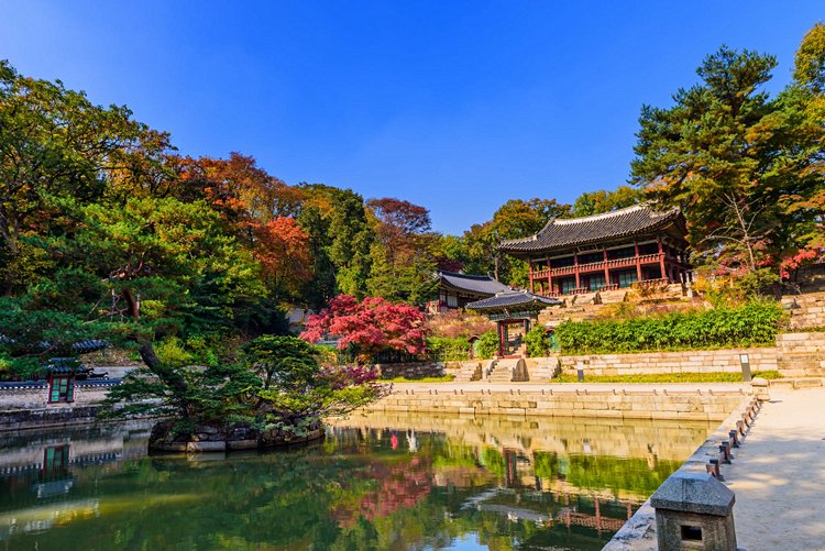 Palais Changdeokgung et son jardin secret