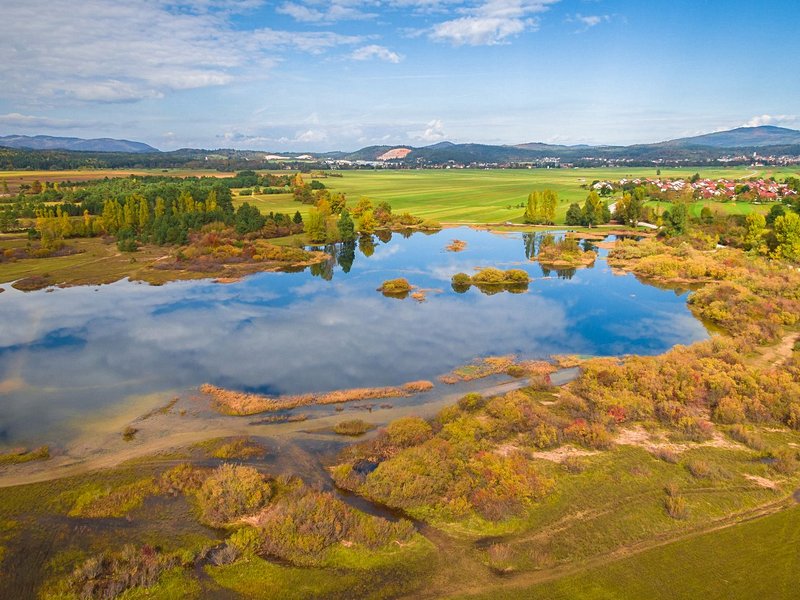 Lac intermittent de Cerknica