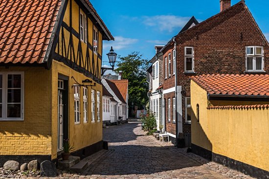 Ribe