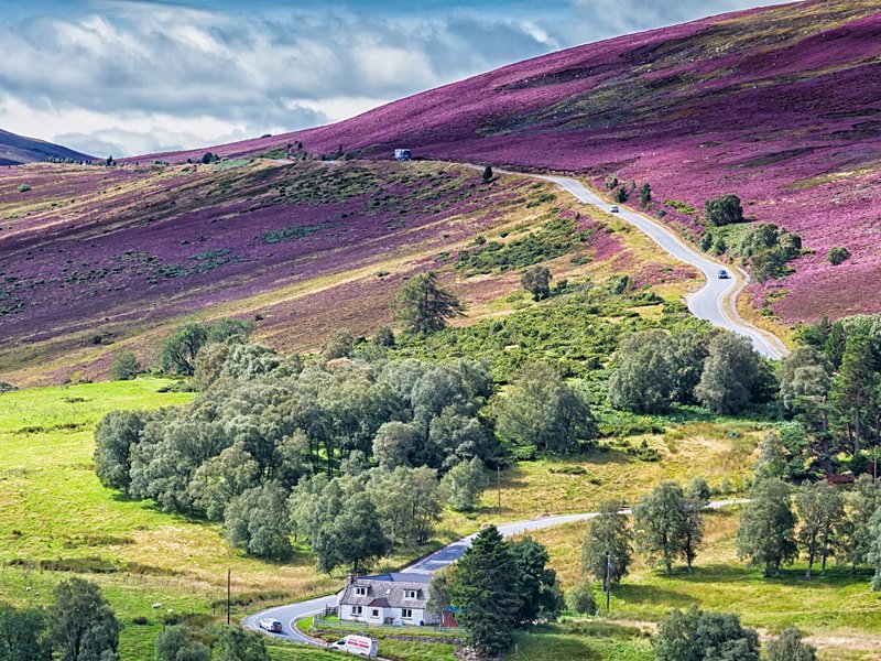 Cairngorms