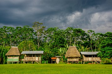 Parc national Yasuni