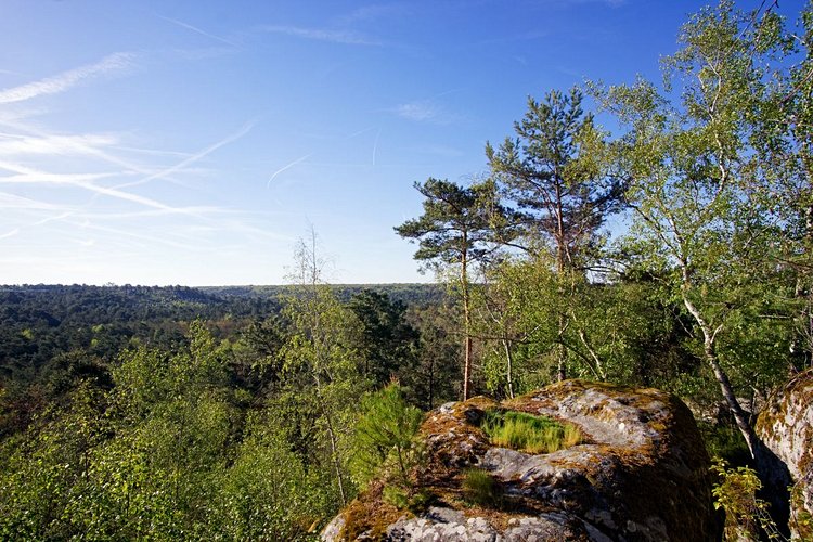 Parc Naturel régional du Gâtinais 3