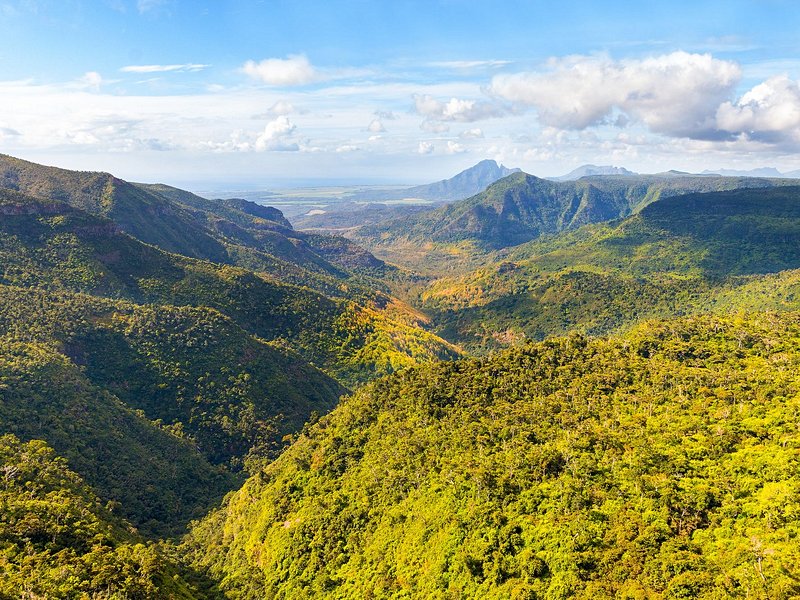 Parc national des gorges de Rivière Noire