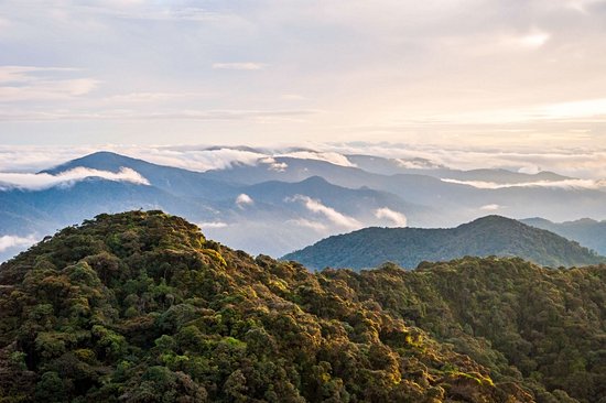 Gunung Brinchang