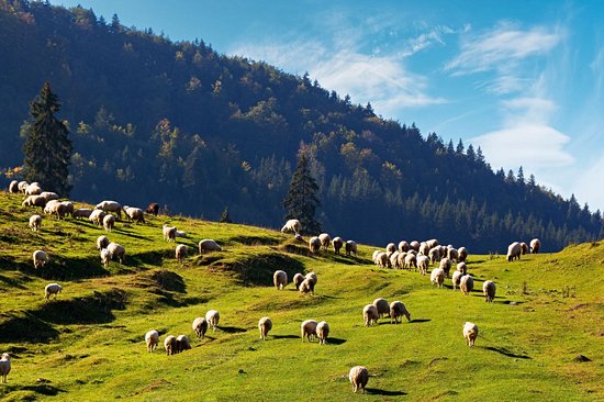 Parc naturel Apuseni