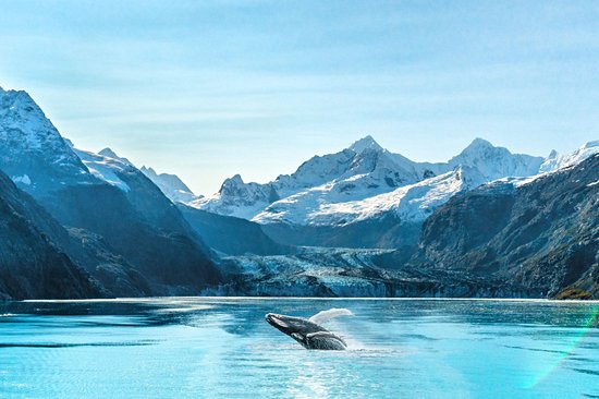 Parc national de Glacier