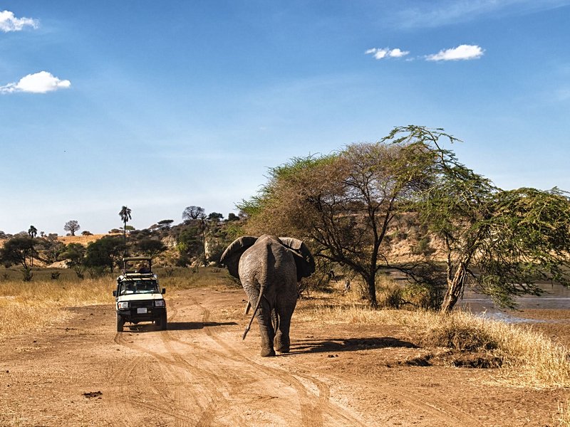Parc national du Serengeti