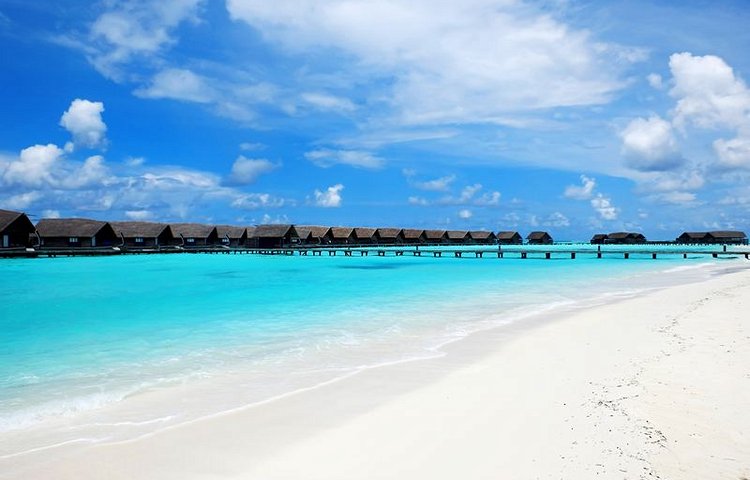 L'île Cocoa 