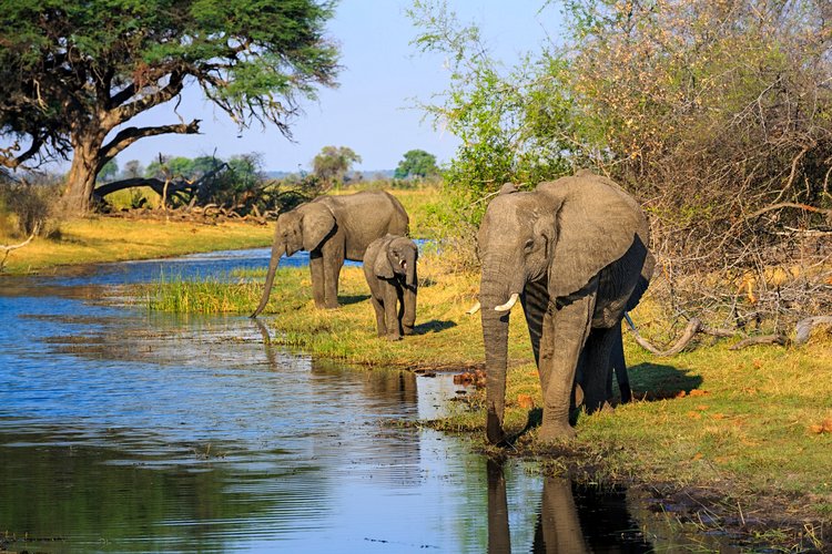 La bande de Caprivi 3
