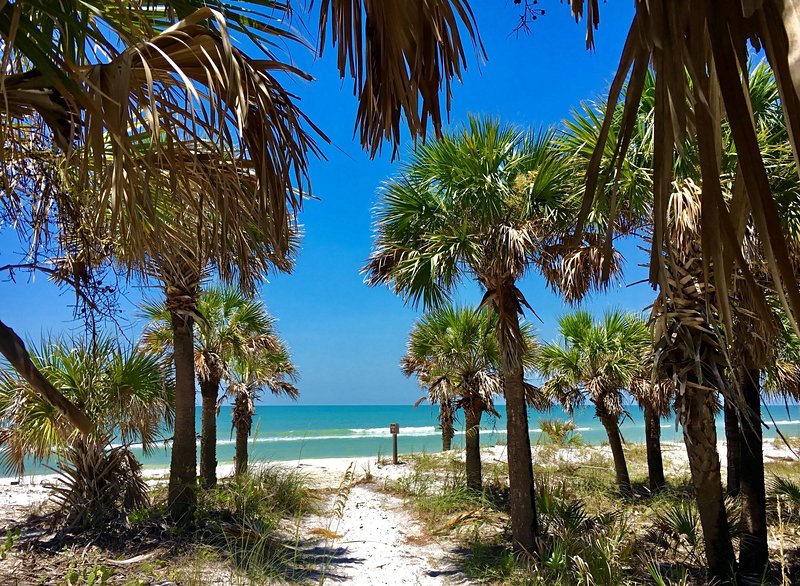 plage Honeymoon Island et Caladesi