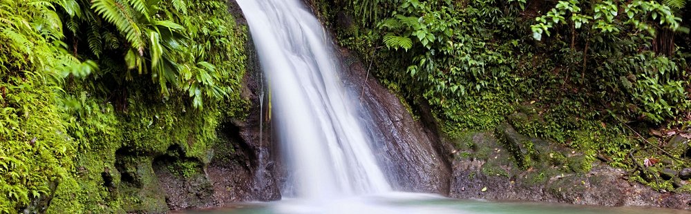 Parc national de la Guadeloupe