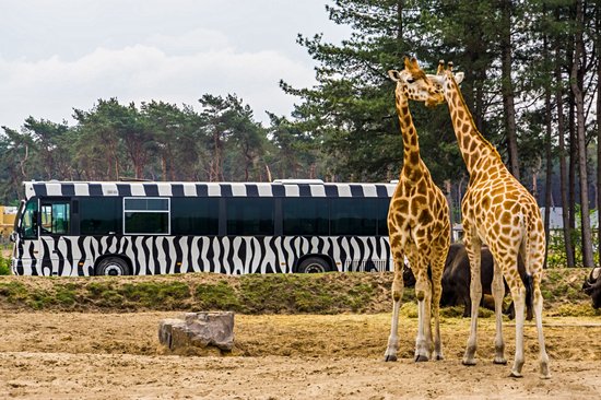 Parc Safari de Beekse Bergen
