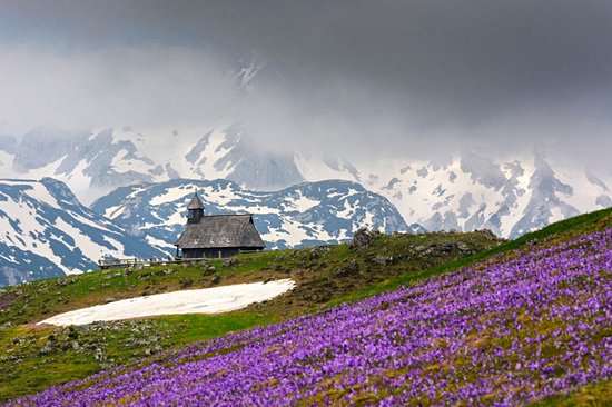Velika Planina