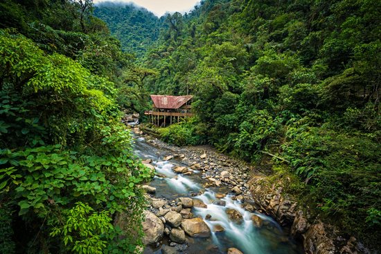 Le parc national du Manu