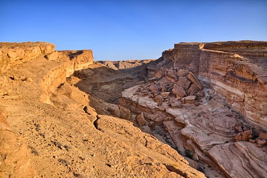 Tamerza