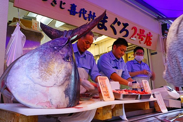 Le marché aux poissons de Toyosu