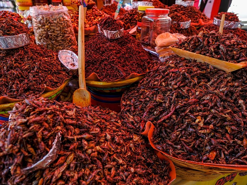 Les marchés Benito Juárez et 20 de Noviembre