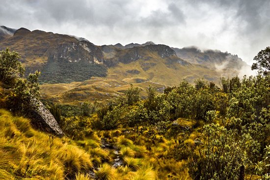 Parc national Cajas