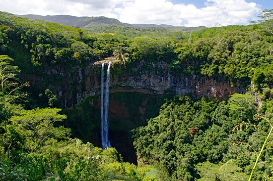 Parc national des gorges de Rivière Noire