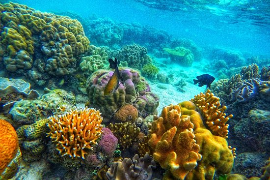 Faire du snorkeling à Siete Pecados