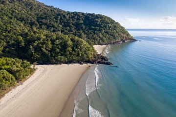 Daintree