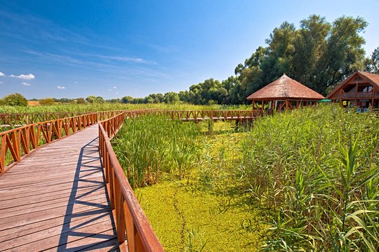 Parc de Kopački Rit