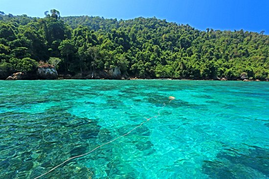 Cocks Comb Island