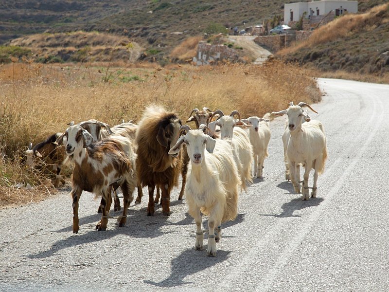 Sifnos