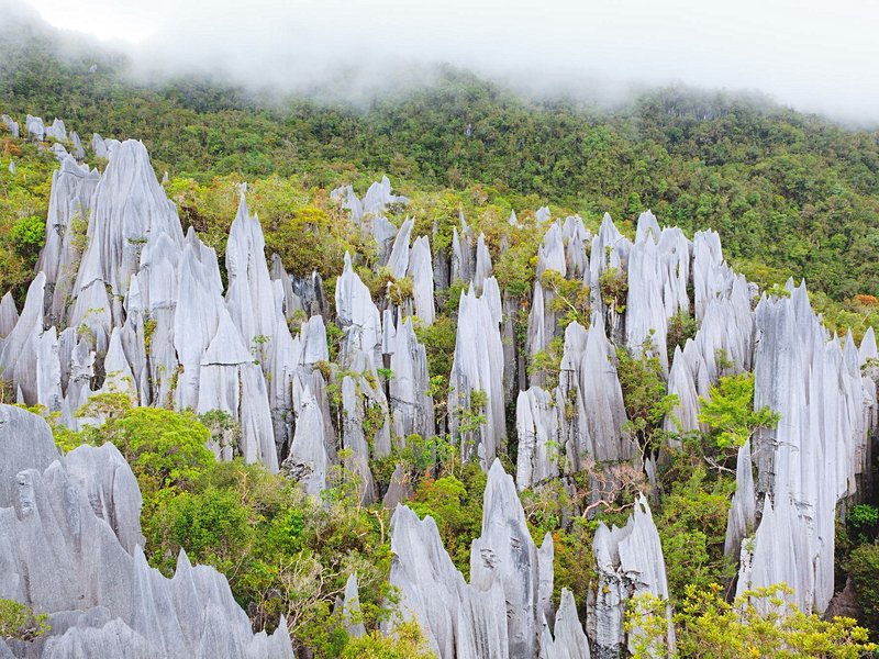 Parc national du Gunung Mulu